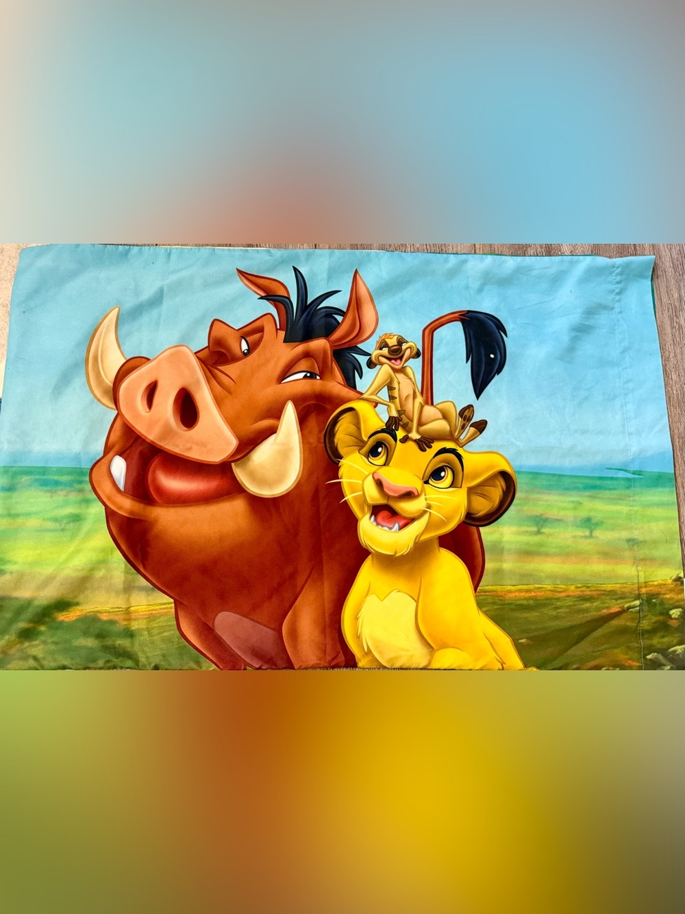 DOUBLE SIDED The Lion King Kids Pillow Case